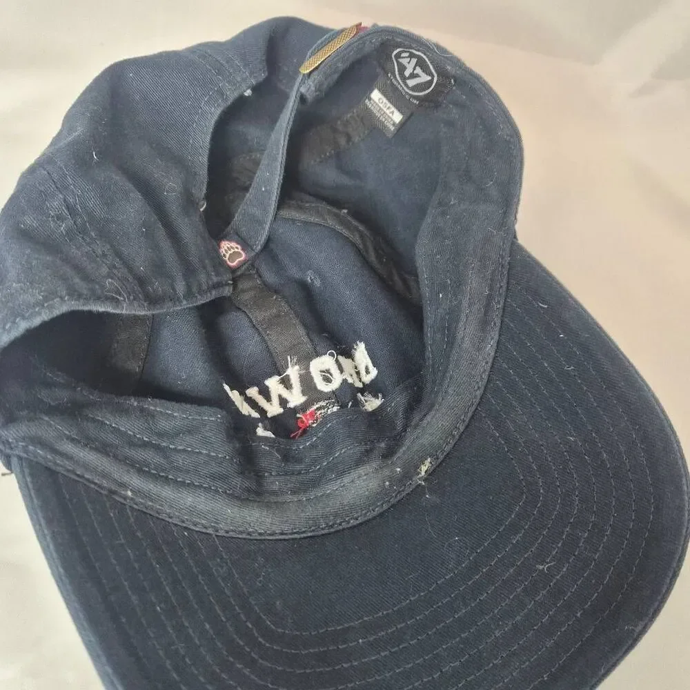 Brown Collegiate baseball cap
